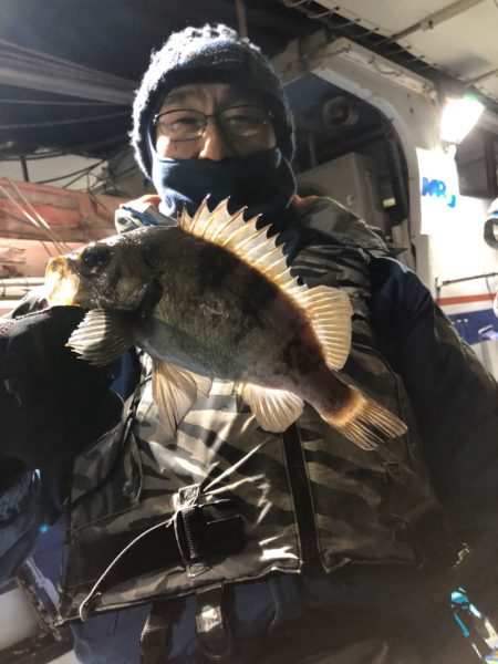 ヤザワ渡船 釣果