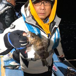 ヤザワ渡船 釣果