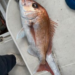末広丸(熊本) 釣果