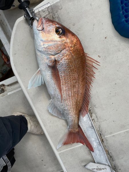末広丸(熊本) 釣果