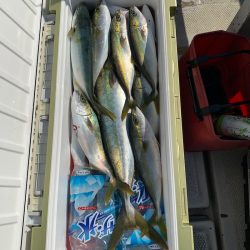 ランスルー 釣果