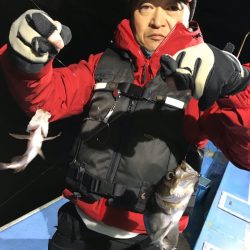 ヤザワ渡船 釣果