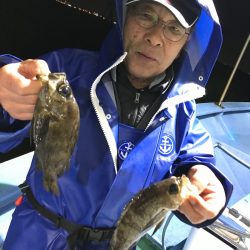 ヤザワ渡船 釣果