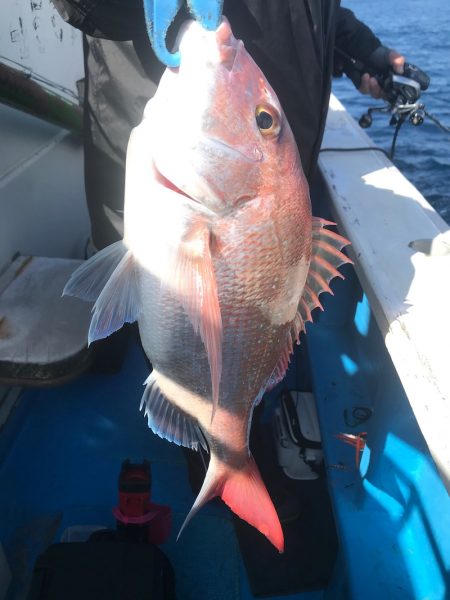 太平丸 釣果