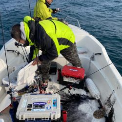 「LaGooN」蒼陽丸 日和号　 釣果