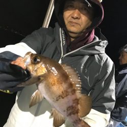 ヤザワ渡船 釣果