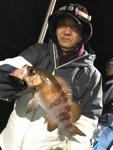 ヤザワ渡船 釣果