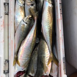 フィッシング キッタカ 釣果