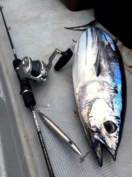 渡船屋たにぐち 釣果