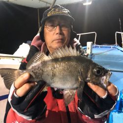 ヤザワ渡船 釣果