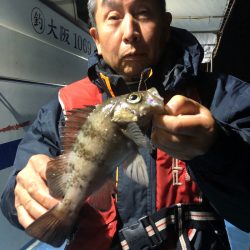 ヤザワ渡船 釣果