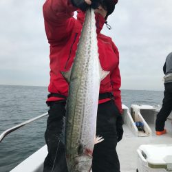 ランスルー 釣果