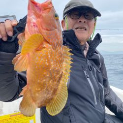 「LaGooN」蒼陽丸 日和号 釣果