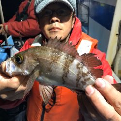 ヤザワ渡船 釣果