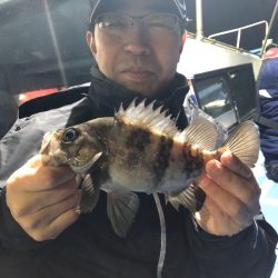 ヤザワ渡船 釣果