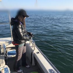 遊漁船メテオ 釣果