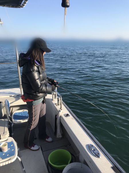 遊漁船メテオ 釣果