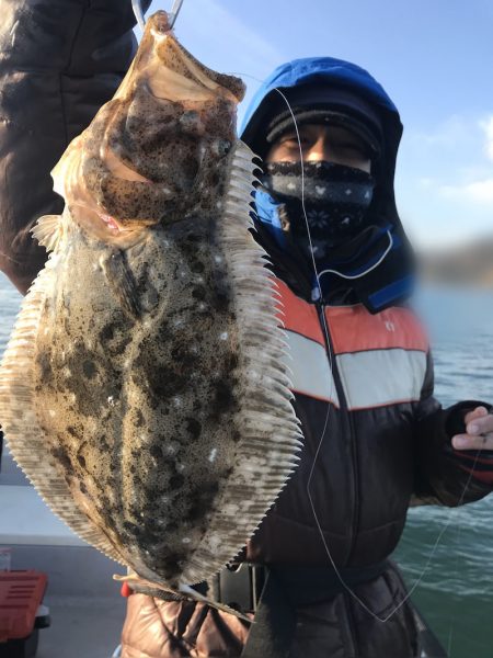 遊漁船メテオ 釣果