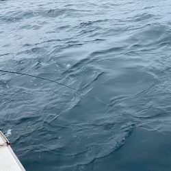 あみや渡船 JIGBOY 釣果