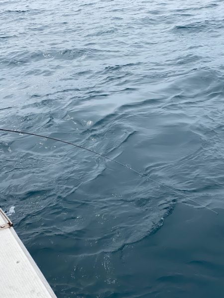 あみや渡船 JIGBOY 釣果