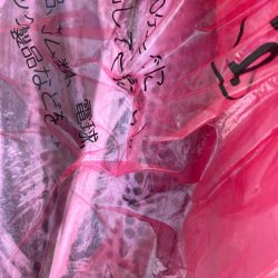 あみや渡船 JIGBOY 釣果