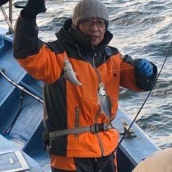 ヤザワ渡船 釣果