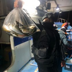 ヤザワ渡船 釣果