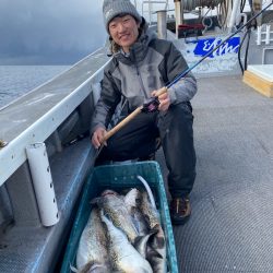 シーランチ 釣果