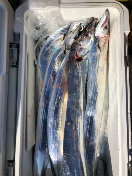 フィッシング　キッタカ 釣果