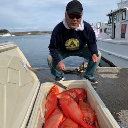 晃山丸 釣果