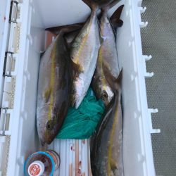 ランスルー 釣果