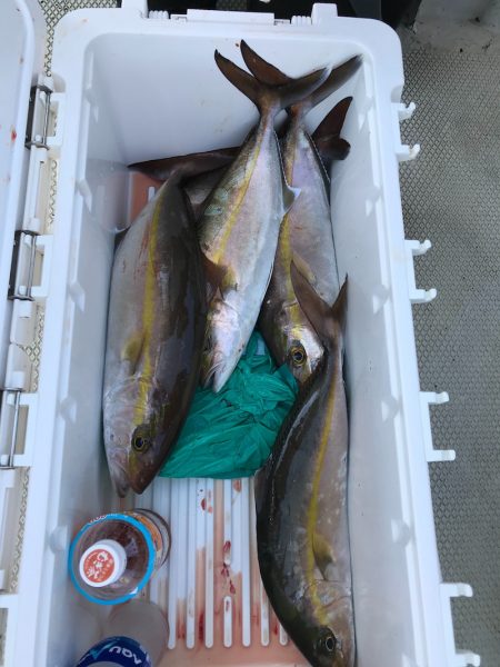 ランスルー 釣果