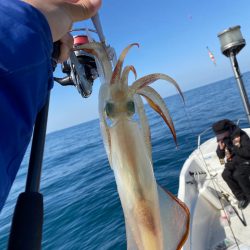 「LaGooN」蒼陽丸 日和号 釣果