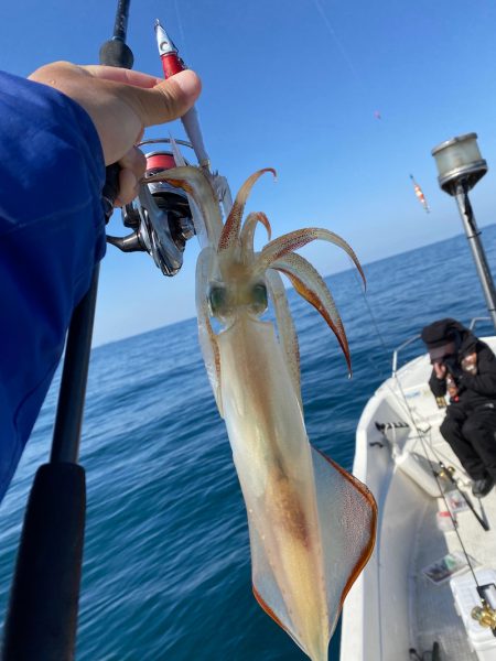 「LaGooN」蒼陽丸 日和号 釣果