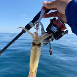 「LaGooN」蒼陽丸 日和号 釣果