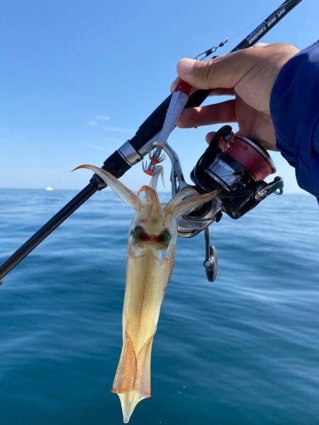 「LaGooN」蒼陽丸 日和号 釣果