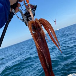 「LaGooN」蒼陽丸 日和号 釣果