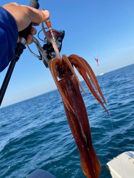 「LaGooN」蒼陽丸 日和号 釣果