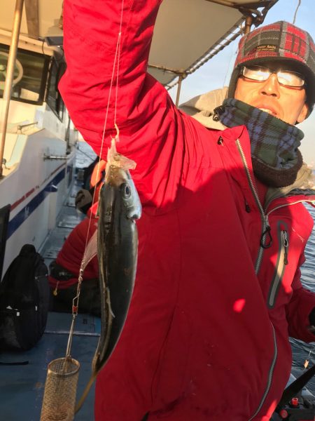 ヤザワ渡船 釣果