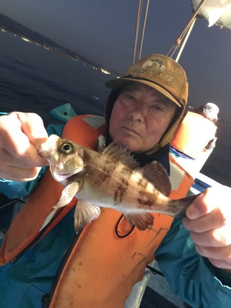 ヤザワ渡船 釣果