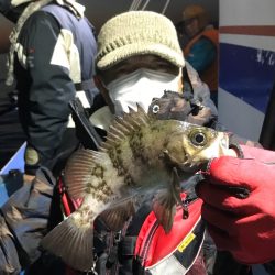 ヤザワ渡船 釣果