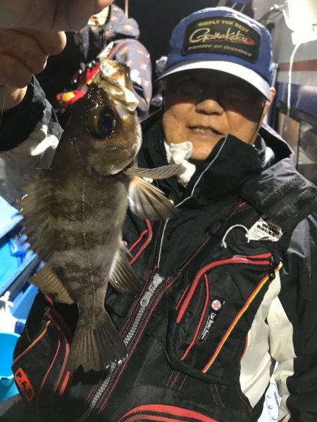 ヤザワ渡船 釣果