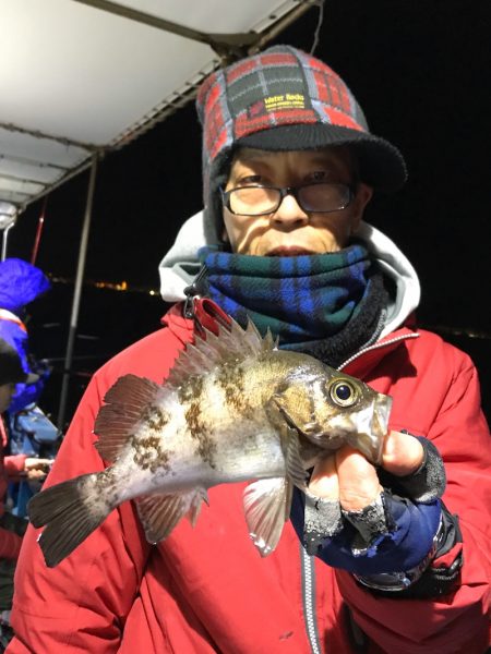 ヤザワ渡船 釣果