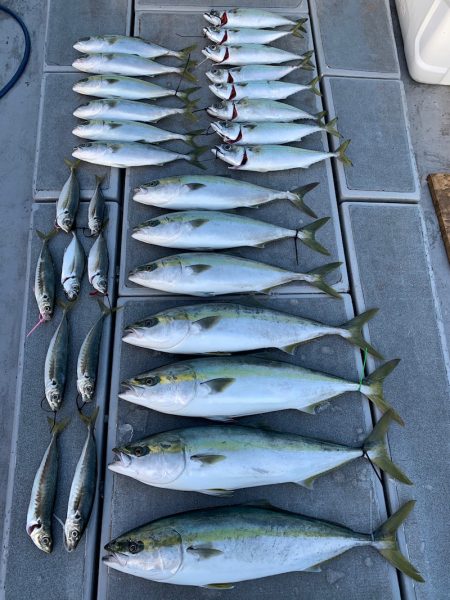 SeaRide(シーライド) 釣果