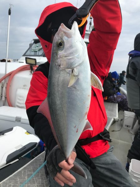 ランスルー 釣果