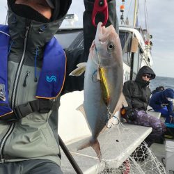 ランスルー 釣果