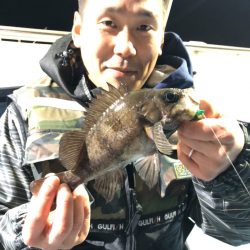 ヤザワ渡船 釣果