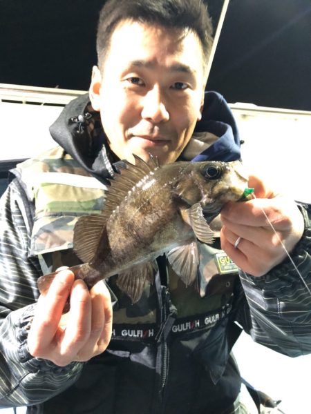 ヤザワ渡船 釣果