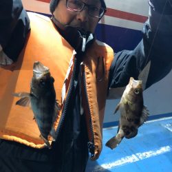 ヤザワ渡船 釣果