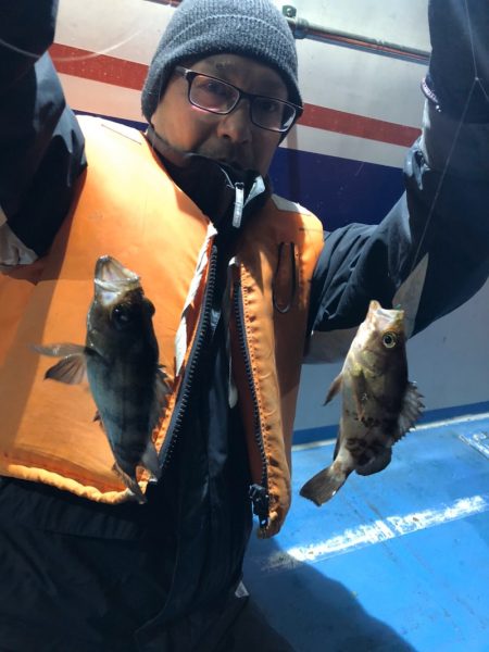 ヤザワ渡船 釣果